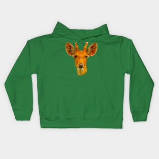 Barasinga deer Kids Hoodie